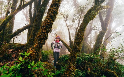 Mục sở thị khu rừng nguyên sinh 'độc nhất vô nhị' ở Sơn La