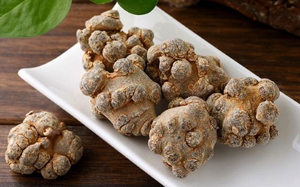 Cây tam thất có tác dụng gì?