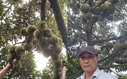 Người nông dân Đắk Lắk thu 15 tỷ/năm nhờ thứ quả “ngửi thì nồng, ăn thì nghiện”: Làm nông nghiệp tử tế, người Việt không thể nghèo