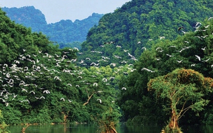 Từ 1/4, không chỉ Hang Múa mà 1 địa điểm nổi tiếng ở Ninh Bình đồng loạt tăng giá