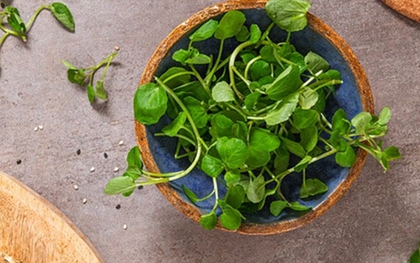 Loại rau "tốt nhất thế giới", giàu chất chống oxy hóa, giảm cholesterol xấu được chuyên gia dinh dưỡng công nhận
