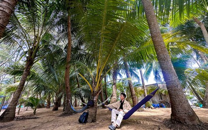 Thích mê rừng dừa xanh mướt nơi xã đảo Tam Hải