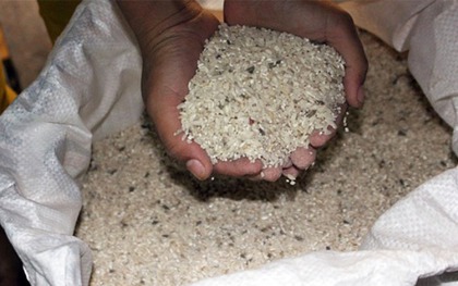 5 kiểu bảo quản gạo của người Việt làm tăng tốc độ hư hỏng, cơm không ngon mà còn dễ khiến cả nhà mắc bệnh