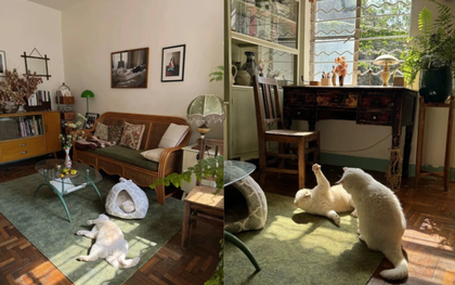 Cụ bà 73 tuổi không phiền con cháu, già đi lặng lẽ trong căn nhà cũ ở quê: Cuộc sống dịu dàng, chữa lành đến lạ