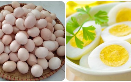 Số lượng trứng nên ăn mỗi tuần ở từng nhóm tuổi