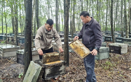 Ít ai ngờ sản vật quen thuộc của nông dân Việt lại xuất khẩu sang Mỹ, châu Âu với doanh thu gần 20 tỷ/năm