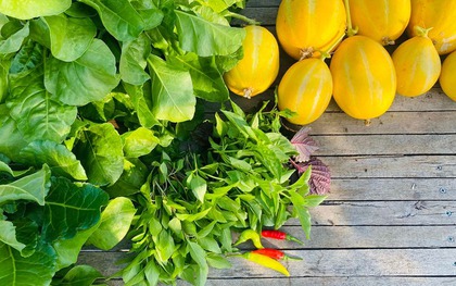 Cận cảnh khu vườn "2 trong 1" trên tầng 5, nuôi cá trồng rau khép kín, thu hoạch cả nửa tạ dưa lưới