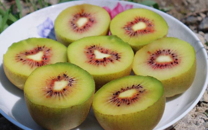 Loại quả được gọi là "trái cây ngủ", ăn một vài miếng mỗi ngày có thể giúp bạn ngủ ngon giấc đến tận sáng, chợ Việt bán rất nhiều