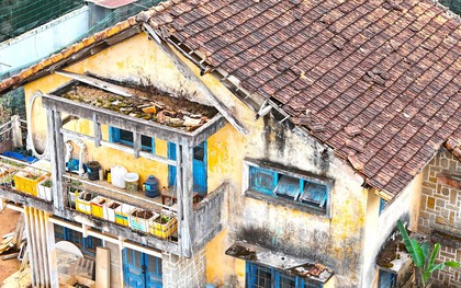 Cận cảnh biệt thự, khu nhà đất "vàng" bỏ hoang, lãng phí ở Ðà Lạt