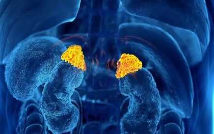 Cảnh báo hiểm họa từ loại thuốc 'uống vào là đỡ' khi đau nhức