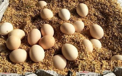 Không cần tủ lạnh vẫn giữ trứng gà tươi lâu - Mẹo đơn giản ít người biết