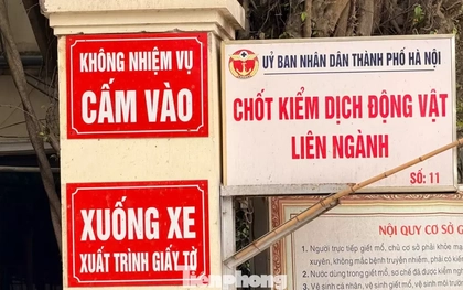 Vụ tiêu thụ gần 300 tấn lợn bệnh ở Hà Nội: Thu giữ cuốn sổ ghi chép việc ăn chia tiền "làm luật"