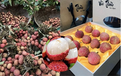 Loại quả ở Việt Nam bán rẻ như cho bỗng thành hàng hiệu xuất ngoại, chạm mốc 450.000 đồng/ ký vẫn được khách quốc tế vẫn ráo riết săn lùng