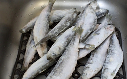 Bé trai 9 tuổi mắc ung thư máu vì thường xuyên ăn 1 loại cá, bác sĩ nhắc: 3 loại cá độc nên tránh xa