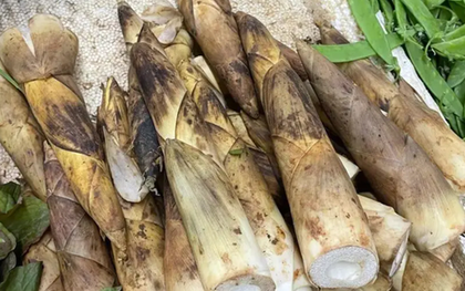 Ăn 1 loại rau khi đói bụng, người đàn ông nhập viện vì xuất huyết dạ dày, bác sĩ nhăn mặt: "Làm thế khác gì cọ sắt chà thành dạ dày?"