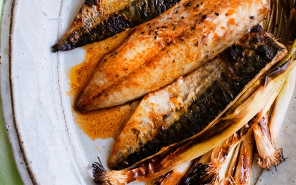 Kỳ lạ loại cá nhiều chất béo nhưng lại giúp giảm mỡ máu: Tiến sĩ Mỹ khen ngợi hết lời, Việt Nam có nhiều