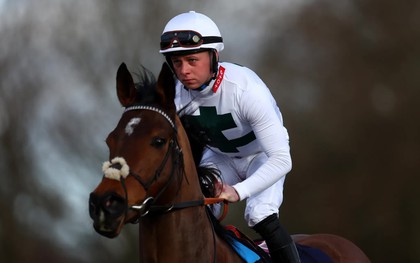 VĐV đua ngựa 26 tuổi tiêu tan sự nghiệp sau khi bị kết tội ngộ sát trong vụ ẩu đả khiến ông lão thiệt mạng