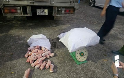 Kinh hoàng phát hiện 12,24 tấn chân lợn đông lạnh bốc mùi hôi thối: Chủ kho hàng SN 1993 khai gì?