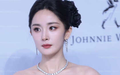 Dương Mịch bị lừa