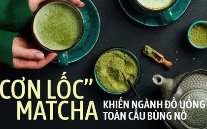 Giá matcha tăng 180% trong vòng 1 năm: Ngành đồ uống toàn cầu chạy đua săn lùng trend mới