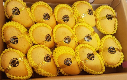 Loại quả bán đầy chợ Việt nhưng ra nước ngoài lại hóa "vàng ròng" mang về trăm triệu USD, chinh phục hơn 40 quốc gia