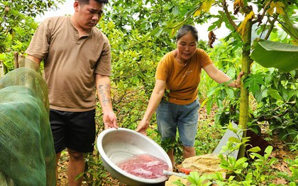 Tìm ra nguyên nhân vụ nước giếng khoan đổi màu tím bất thường