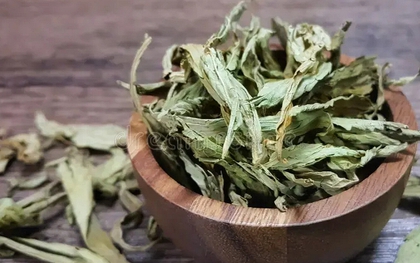 Loại lá khô ngọt gấp 300 lần đường mía nhưng lại không gây tăng đường huyết, tốt cho tim mạch: Việt Nam bán nhiều
