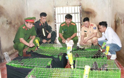 Phát hiện 40 lồng nhựa bất thường bên trong khoang hàng: Công an bắt giữ Nguyễn Văn Chương SN 1992