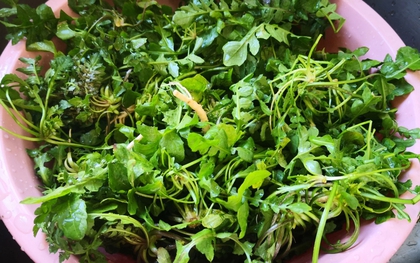 3 loại rau bổ gan, nên bổ sung ngay vào bữa ăn của cả nhà: Loại cuối cùng mọc hoang đầy Việt Nam