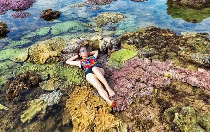 Thực hư việc du khách nằm, ngồi lên san hô để chụp ảnh