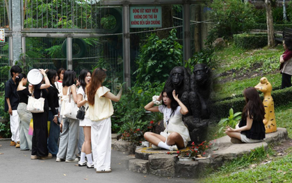 Sau loạt cảnh báo leo trèo nguy hiểm tại Thảo Cầm Viên: Giới trẻ nâng cao ý thức, đội nắng xếp hàng săn ảnh giống Sơn Tùng M-TP