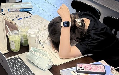 5 dấu hiệu của người hợp học lên cao học