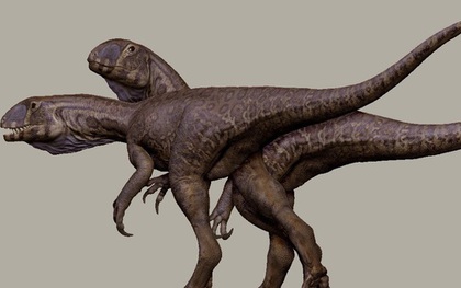 Quái vật 201 triệu tuổi "trỗi dậy" từ mỏ đá ở Mỹ