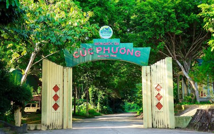 Khuyến cáo những ai tới Vườn Quốc gia Cúc Phương ngay lúc này