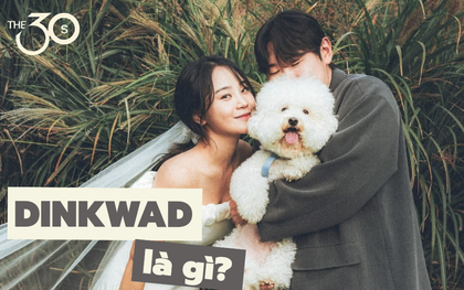 Giải mã DINKWAD: Tại sao người ta lại chọn kết hôn, nhân đôi thu nhập, không có con nhưng nuôi chó?