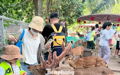 Chính thức có thêm một ngày nghỉ làm việc hưởng nguyên lương