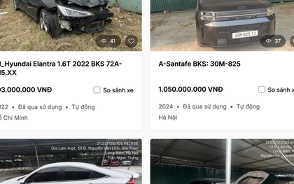 Ngân hàng thu giữ loạt xe ô tô điện của Mai Linh Lào Cai