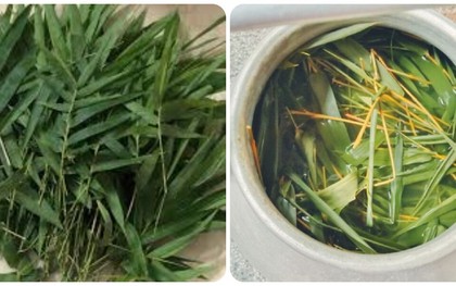 Uống nước lá tre gai có tác dụng gì?