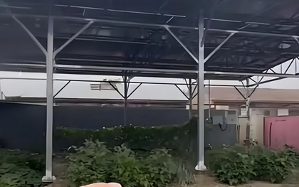 Cho thuê 200m² đất bỏ không để kiếm 115 triệu đồng, người đàn ông lỗ gấp 6 lần, còn bị cơ quan chức năng xử phạt