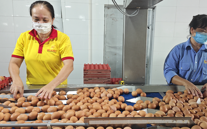 Từ vụ trứng Ba Huân nợ bảo hiểm xã hội kéo dài: Thấy gì từ những "thương hiệu quốc dân"?