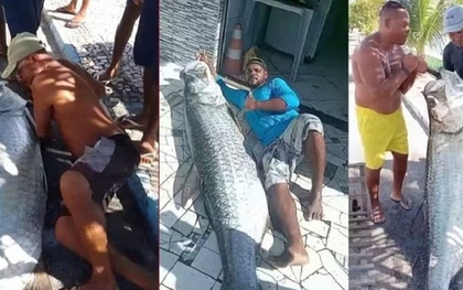 Ngư dân bắt được con cá khổng lồ dài 1,9m và nặng 120kg