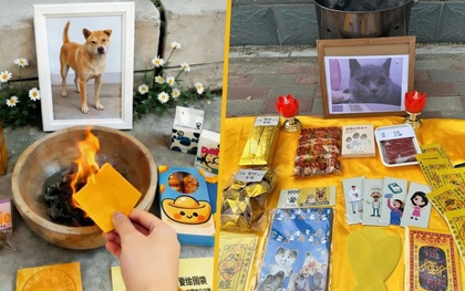 Đám tang xa xỉ cho thú cưng: Nghi lễ long trọng, đốt vàng mã có cả người hầu