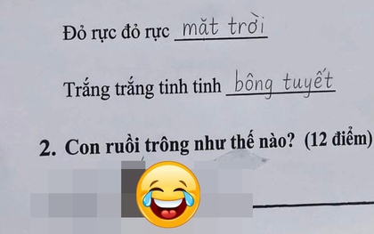 Bài văn tả con ruồi của một học sinh khiến dân tình cười vỡ bụng: Rất MẤT VỆ SINH nhưng đúng với thực tế!