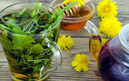 Loài cây mọc đầy vườn ở Việt Nam: Bị thờ ơ, coi là cỏ dại nhưng thế giới lại săn lùng như “thần dược”