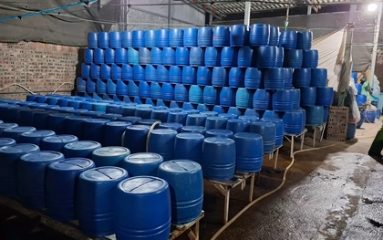 Dùng chất độc có thể gây chết người để sản xuất hơn 500 tấn giá đỗ