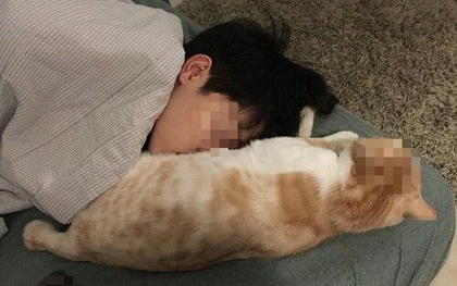 Cậu bé 14 tuổi "gần như mù lòa" sau 1 năm ngủ chung với chó mèo, bác sĩ: "Bệnh này không chữa được"