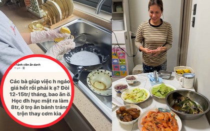 "Các bà giúp việc ngáo giá phải không ạ? Đòi 12 - 15 triệu bao ăn ở trong khi đại học ra đi làm lương 8 triệu"