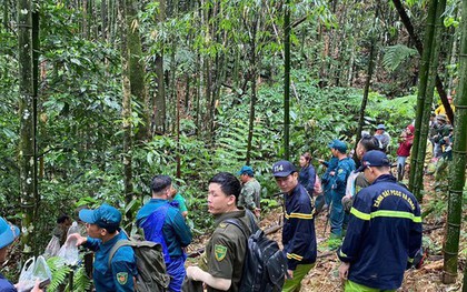 Huy động hơn 300 người tìm kiếm người đàn ông mất tích trong rừng sâu