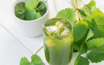 Những người không nên uống nước rau má kẻo "rước hoạ vào thân"
