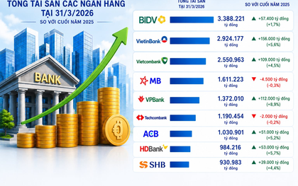 Việt Nam sắp có thêm ngân hàng cán mốc tài sản 3 triệu tỷ, SHB và HDBank chuẩn bị chạm cột mốc mới